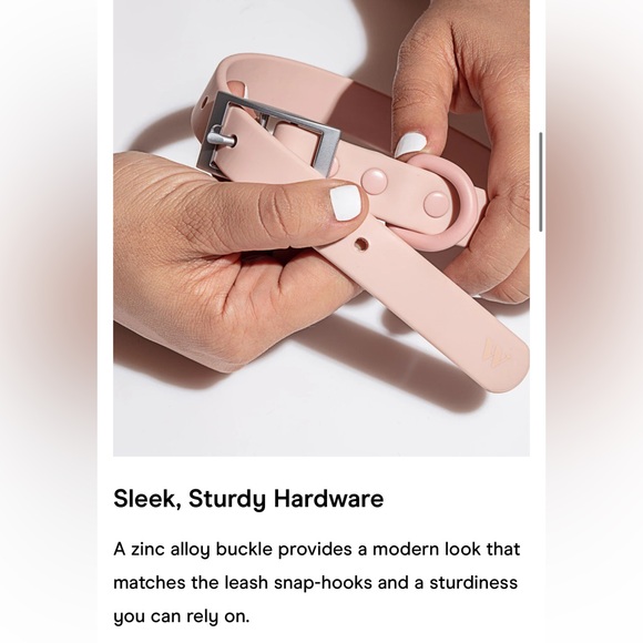 Wild One Dog Collar - XL (18-23") - Moss Green - Picture 12 of 16